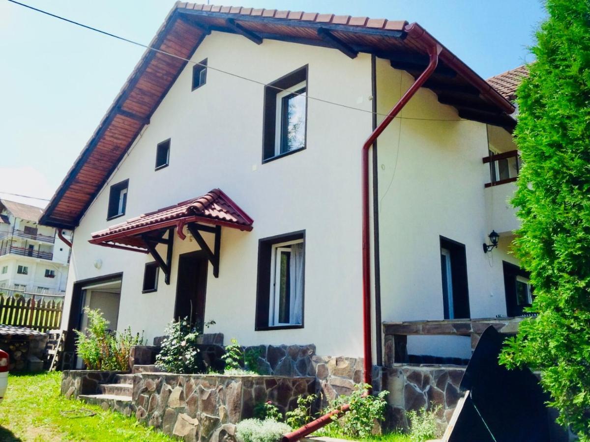 Villa Homy Family House à Bran  Extérieur photo